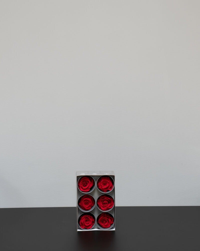 Evighetsrosor Verdissimo -Röd XL - 6 st.