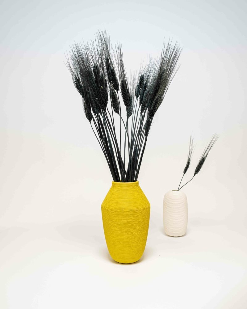 Vete Triticum Svart - Torkade Blommor - Bild 4