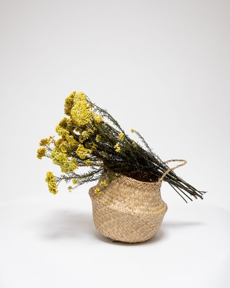 Diosmi Gul - konserverade blommor - Image 5