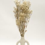 Gypsophila Naturell - Konserverad