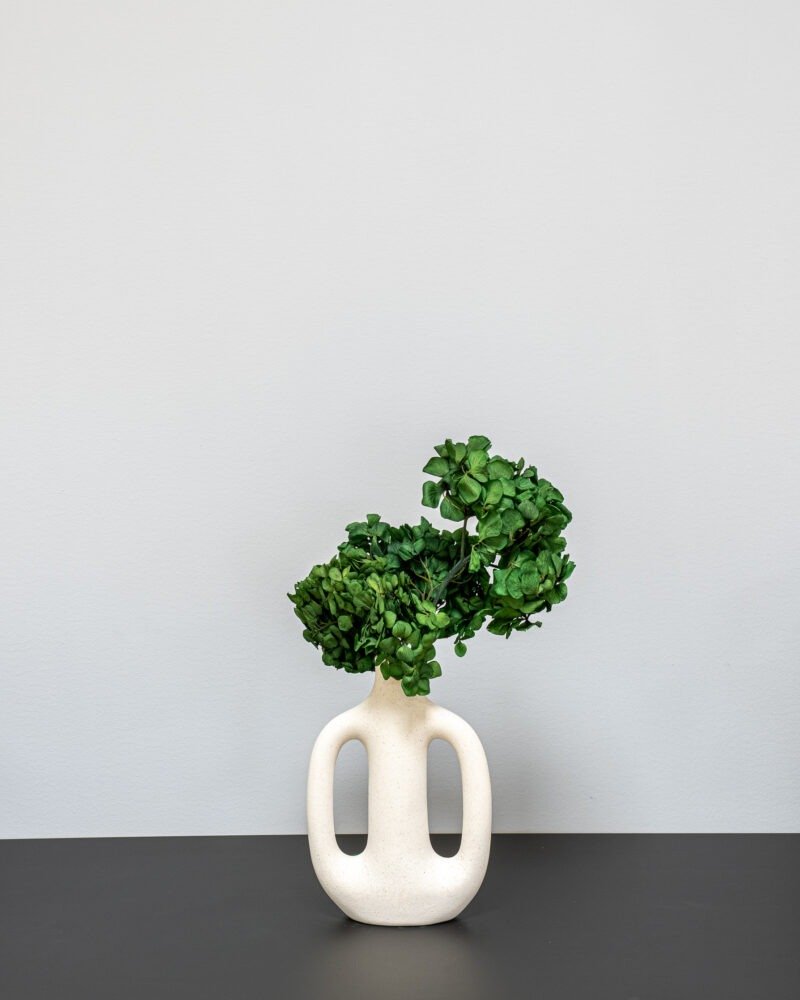 Konserverade Hortensia Grön - Bild 2