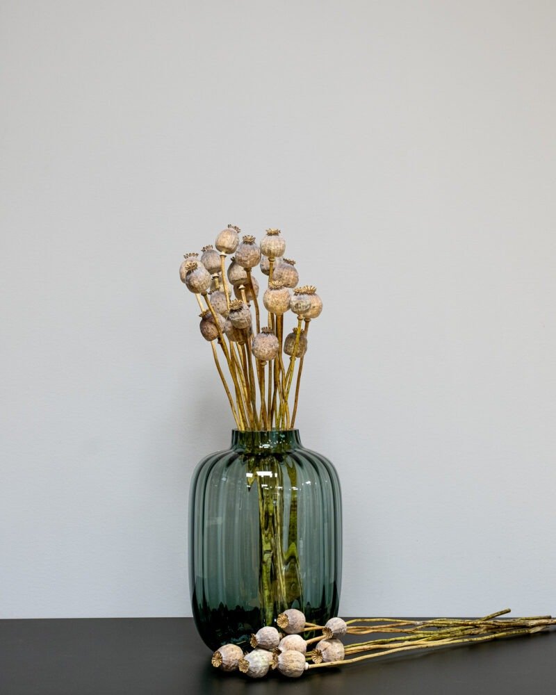 Vallmo Naturell - Torkade Blommor - Bild 2