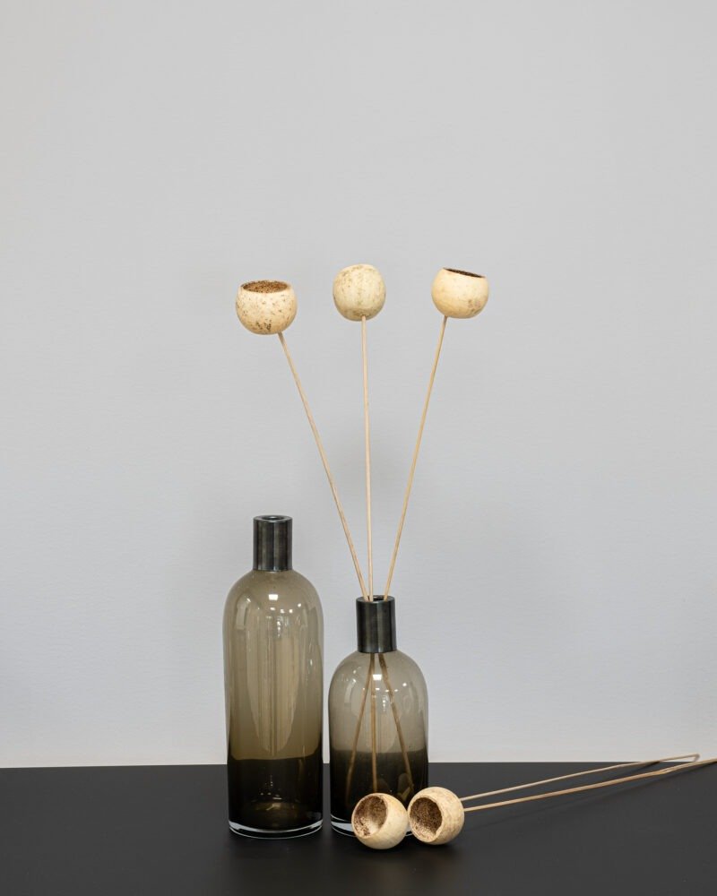 Bell Cup 5 st. - Naturell