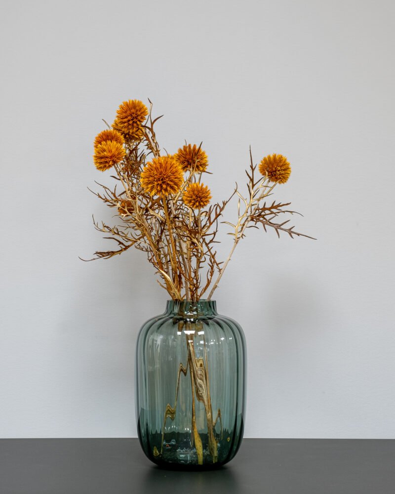 Bolltistel Gigant - Orange – Torkade Blommor - Image 3