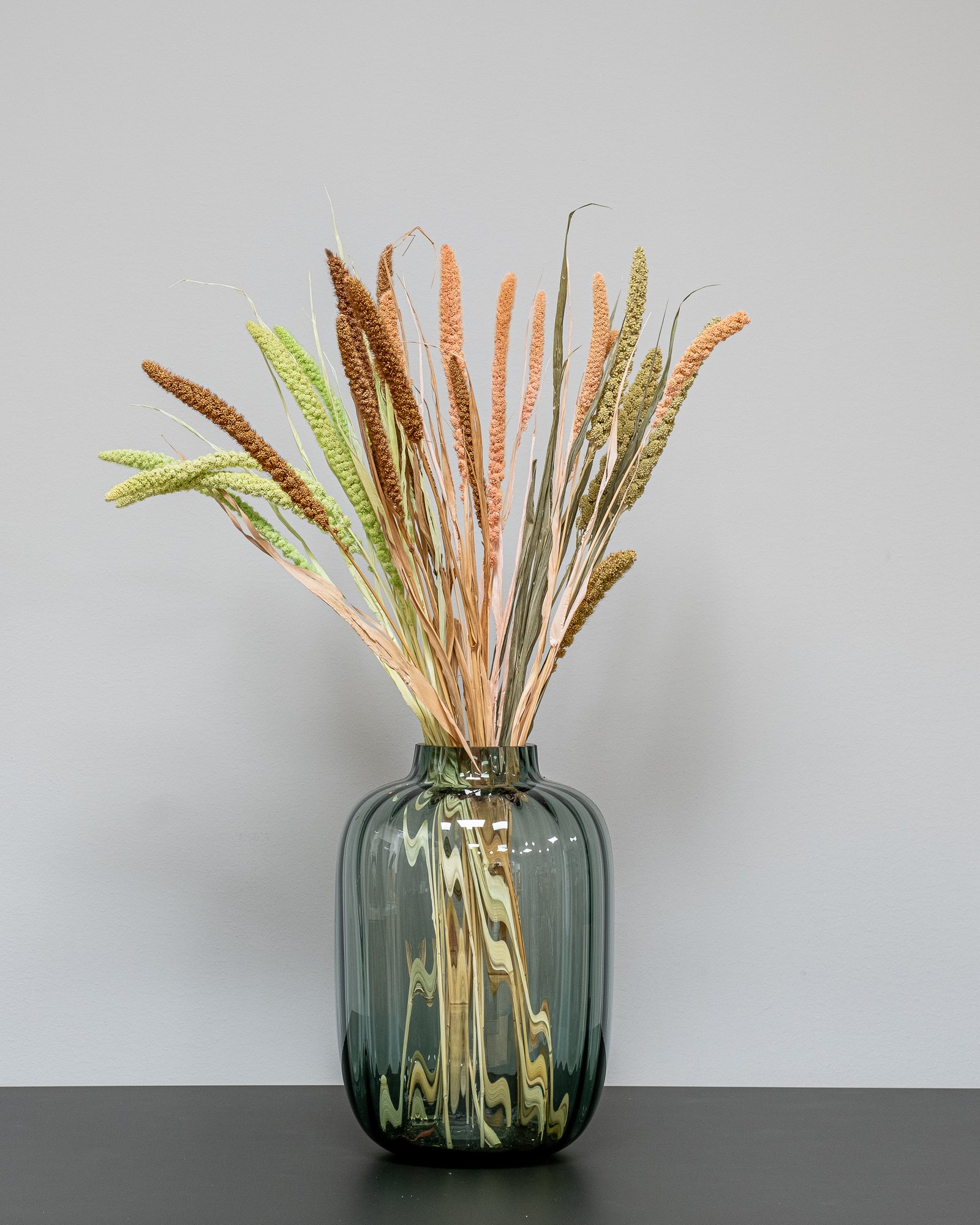 Setaria-Durrasläktet - Sorghum - mix-2