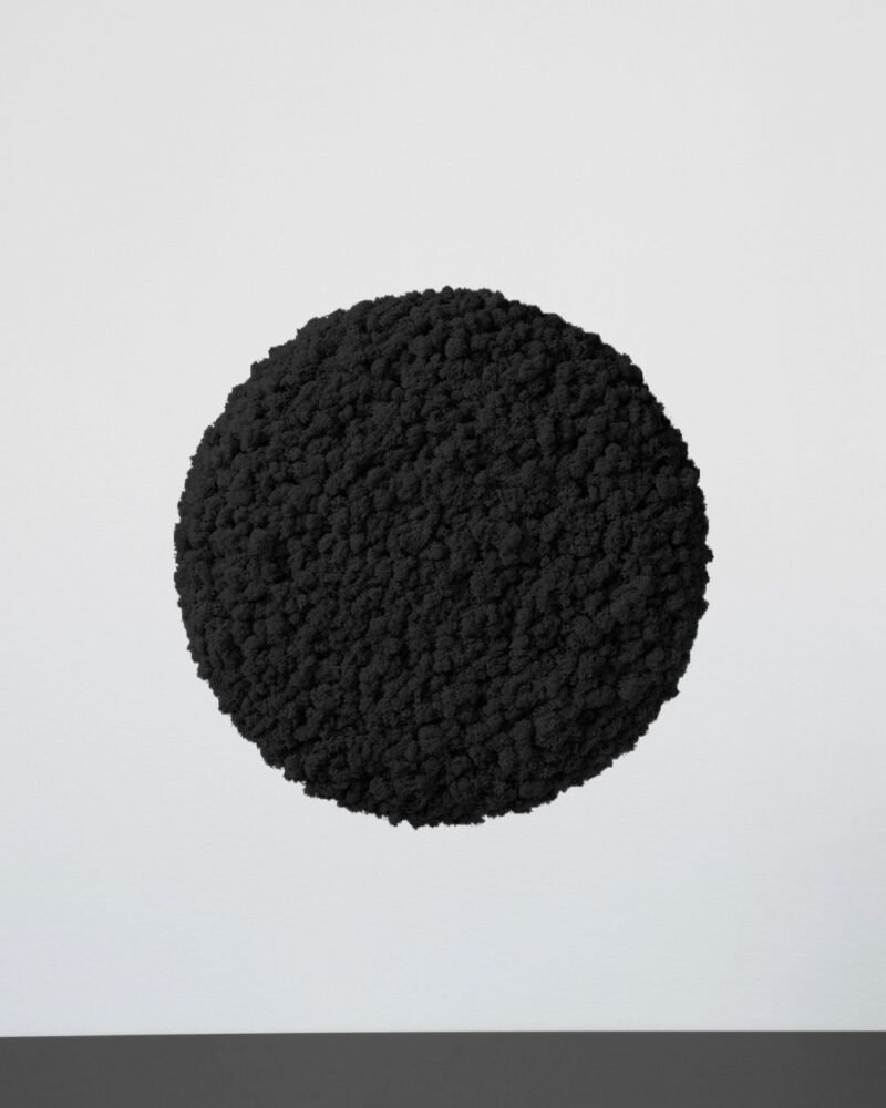 Mosspanel Cirkel - Ljuddämpande Väggpanel med Äkta Renlav - Bild 5