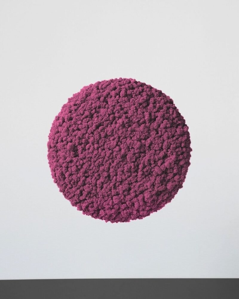 Mosspanel Cirkel - Ljuddämpande Väggpanel med Äkta Renlav - Bild 6