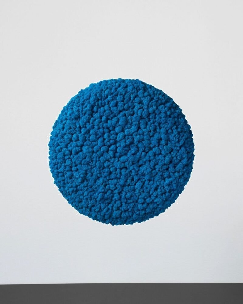 Mosspanel Cirkel - Ljuddämpande Väggpanel med Äkta Renlav - Bild 7