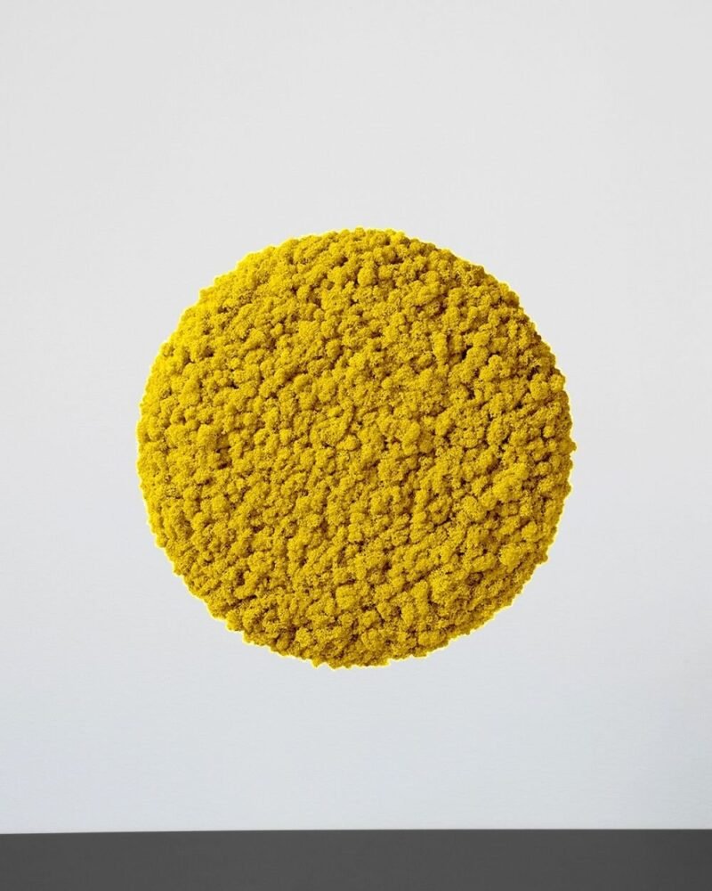 Mosspanel Cirkel - Ljuddämpande Väggpanel med Äkta Renlav - Bild 9