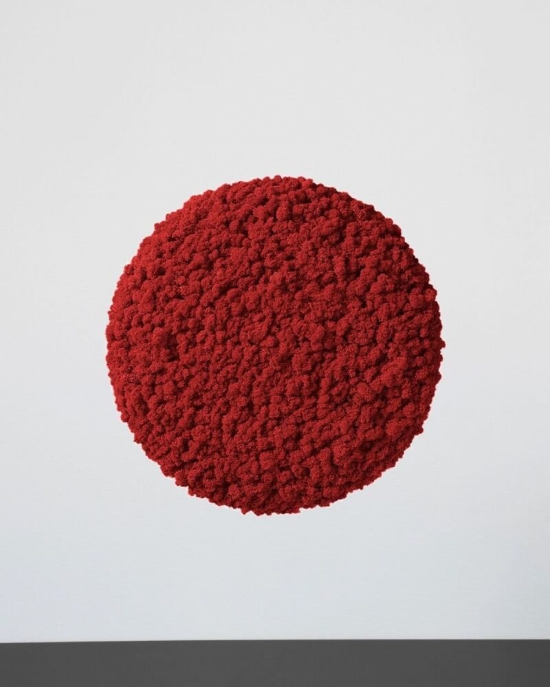 Mosspanel Cirkel - Ljuddämpande Väggpanel med Äkta Renlav - Bild 8