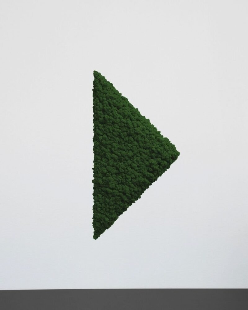 Mosspanel Triangel - Ljuddämpande Väggpanel med Äkta Renlav - Bild 5