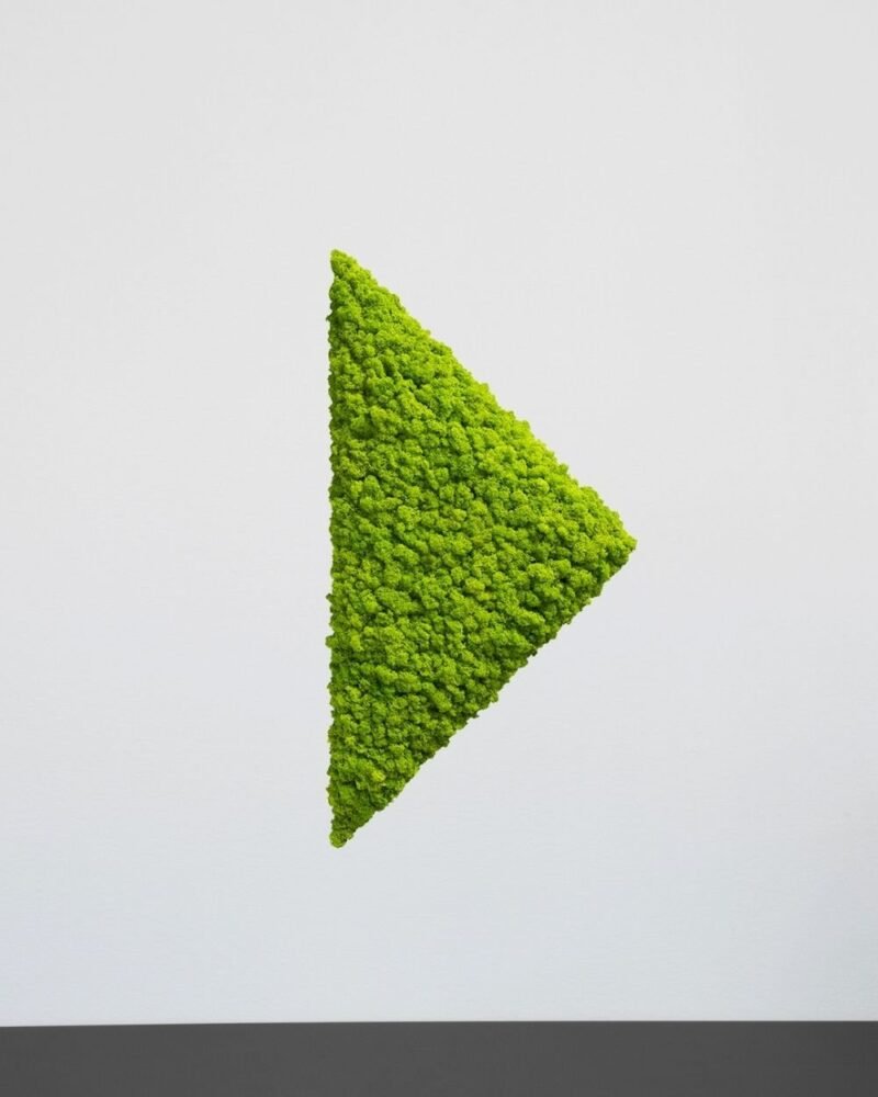 Mosspanel Triangel - Ljuddämpande Väggpanel med Äkta Renlav - Bild 3