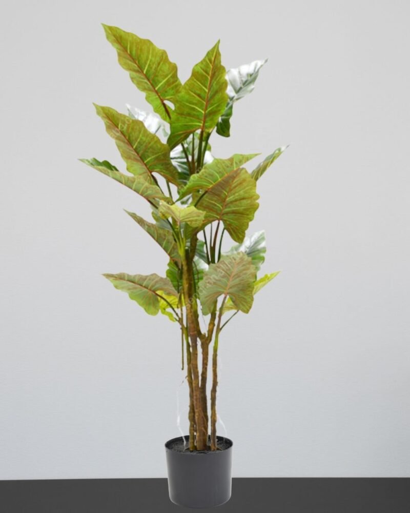 Konstväxt Colocasia träd - Med Plastkruka