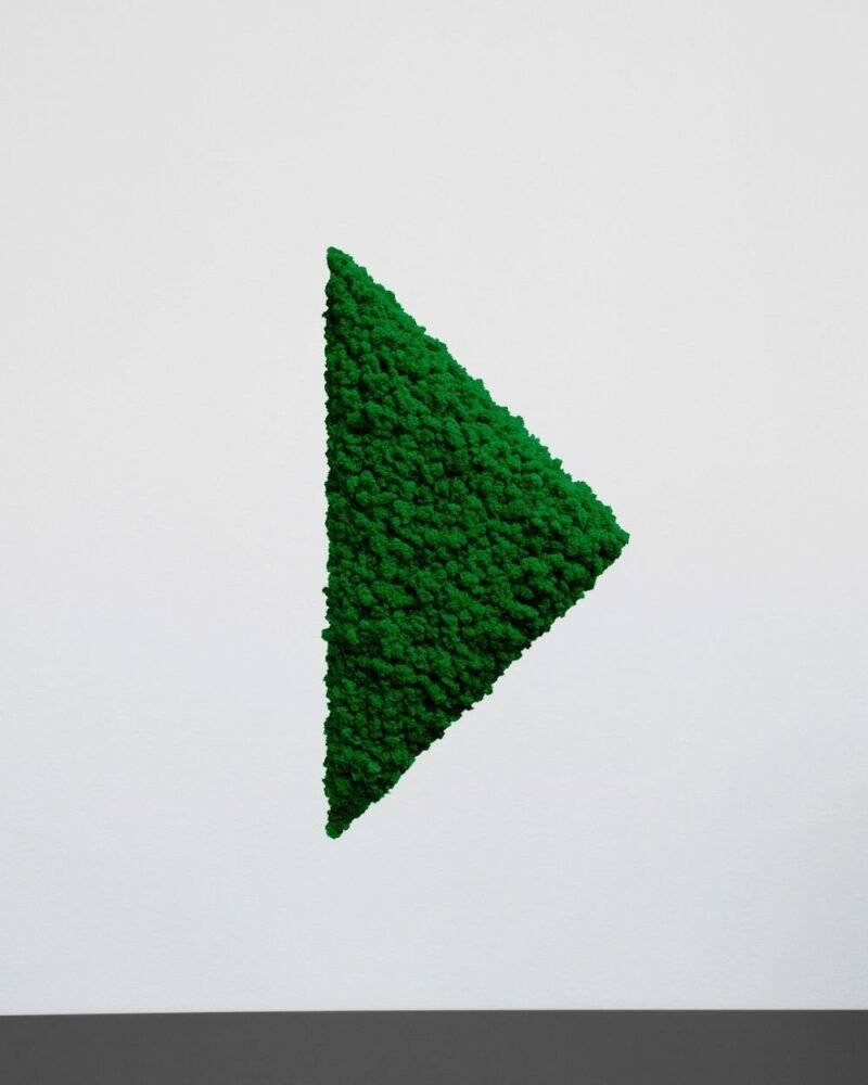 Mosspanel Triangel - Ljuddämpande Väggpanel med Äkta Renlav - Bild 2