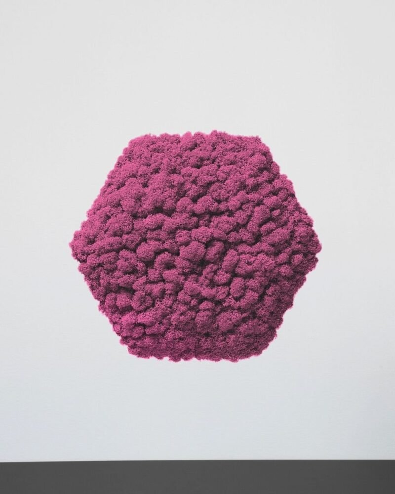 Mosspanel Sexkantig - Ljuddämpande Väggpanel med Äkta Renlav - Bild 9