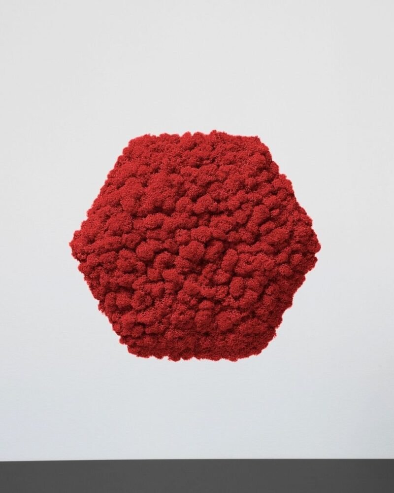 Mosspanel Sexkantig - Ljuddämpande Väggpanel med Äkta Renlav - Bild 7