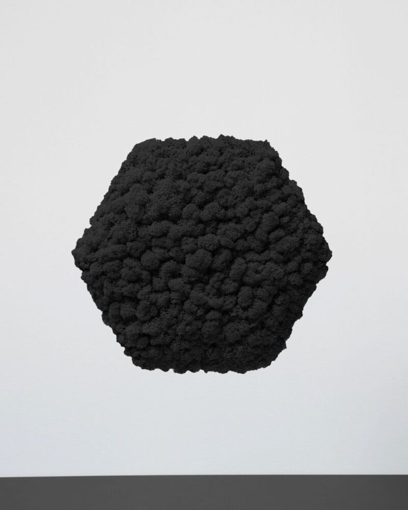 Mosspanel Sexkantig - Ljuddämpande Väggpanel med Äkta Renlav - Bild 10