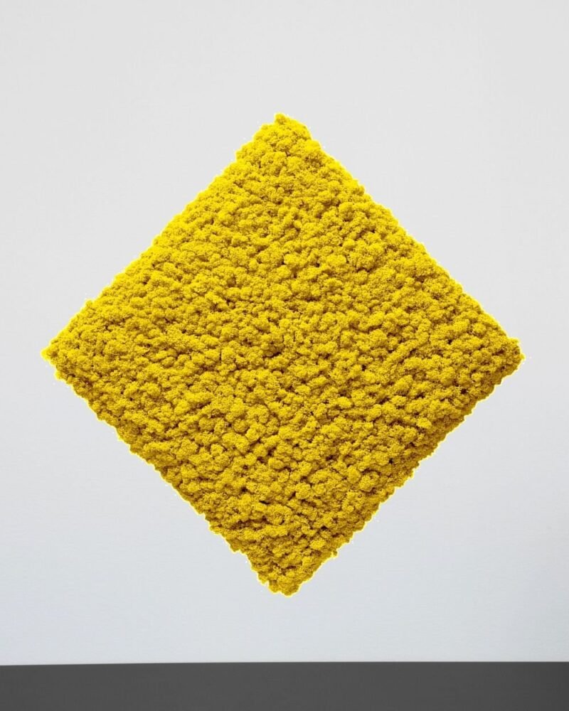 Mosspanel Kvadrat - Ljuddämpande Väggpanel med Äkta Renlav - Bild 9