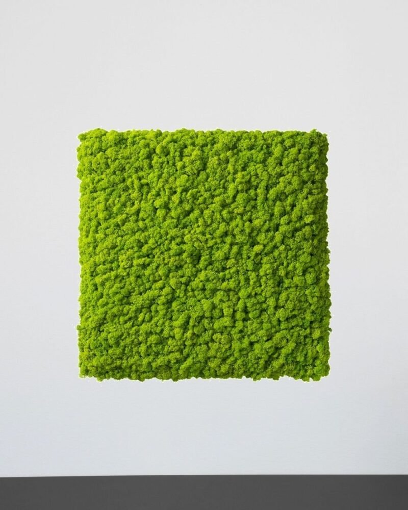 Mosspanel Kvadrat - Ljuddämpande Väggpanel med Äkta Renlav - Bild 2