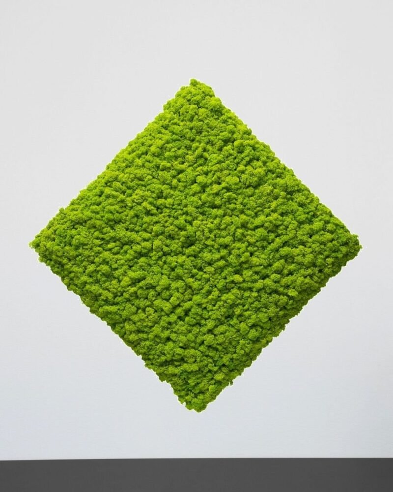 Mosspanel Kvadrat - Ljuddämpande Väggpanel med Äkta Renlav - Bild 3