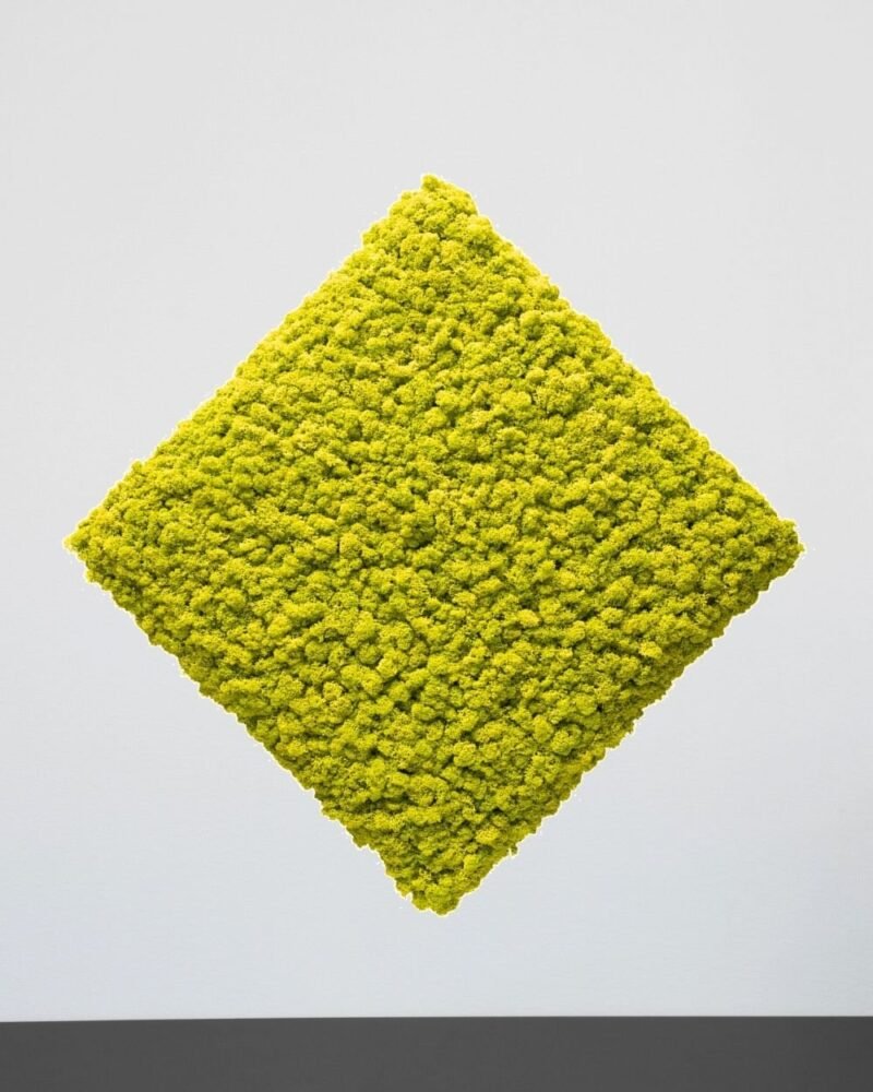 Mosspanel Kvadrat - Ljuddämpande Väggpanel med Äkta Renlav - Bild 5