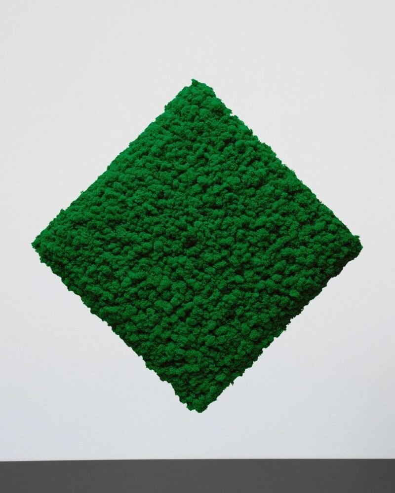 Mosspanel Kvadrat - Ljuddämpande Väggpanel med Äkta Renlav - Bild 7