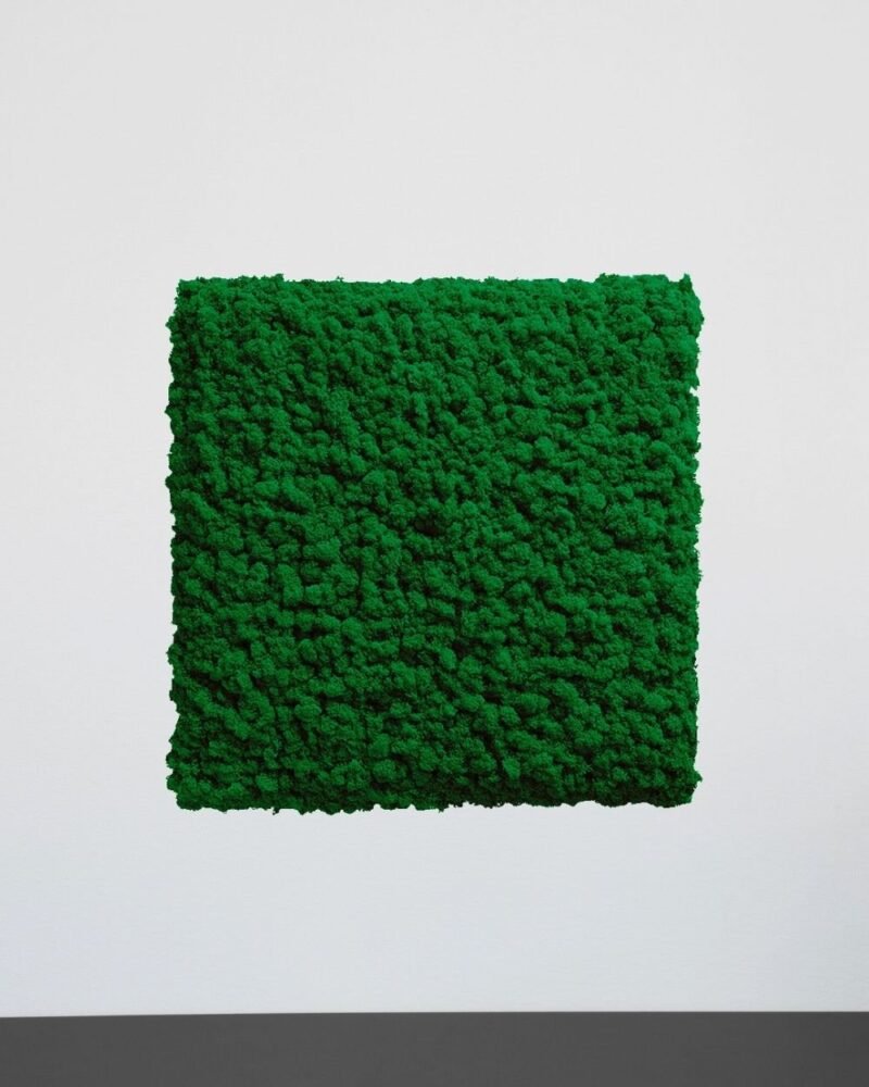 Mosspanel Kvadrat - Ljuddämpande Väggpanel med Äkta Renlav - Bild 6