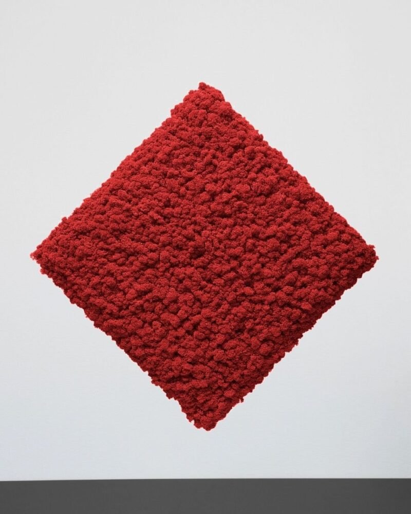 Mosspanel Kvadrat - Ljuddämpande Väggpanel med Äkta Renlav - Bild 13