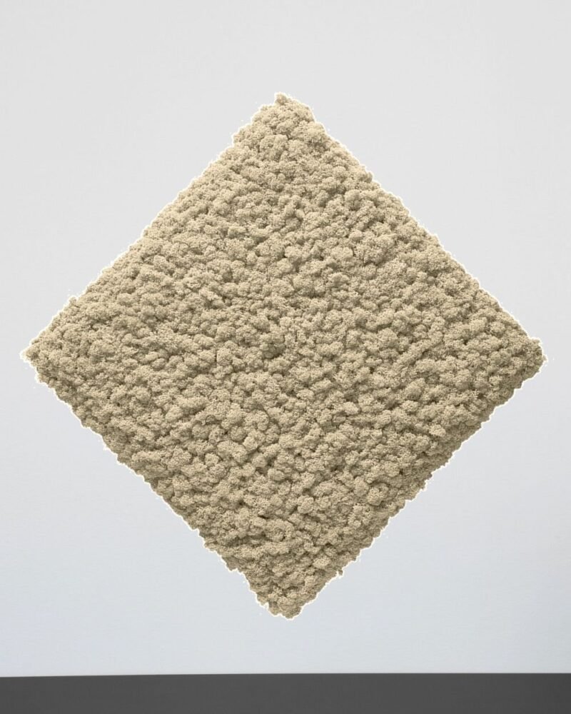 Mosspanel Kvadrat - Ljuddämpande Väggpanel med Äkta Renlav - Bild 11