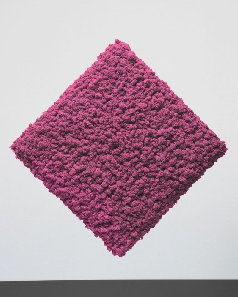 Mosspanel Kvadrat - Ljuddämpande Väggpanel med Äkta Renlav - Bild 15