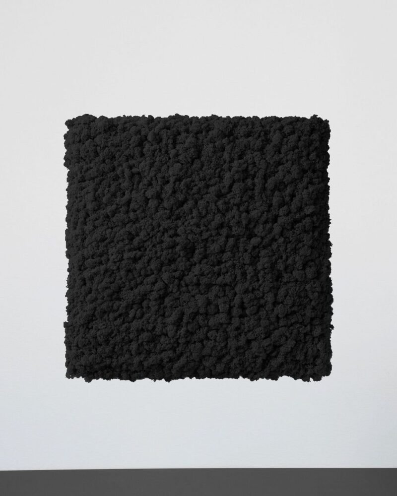 Mosspanel Kvadrat - Ljuddämpande Väggpanel med Äkta Renlav - Bild 16