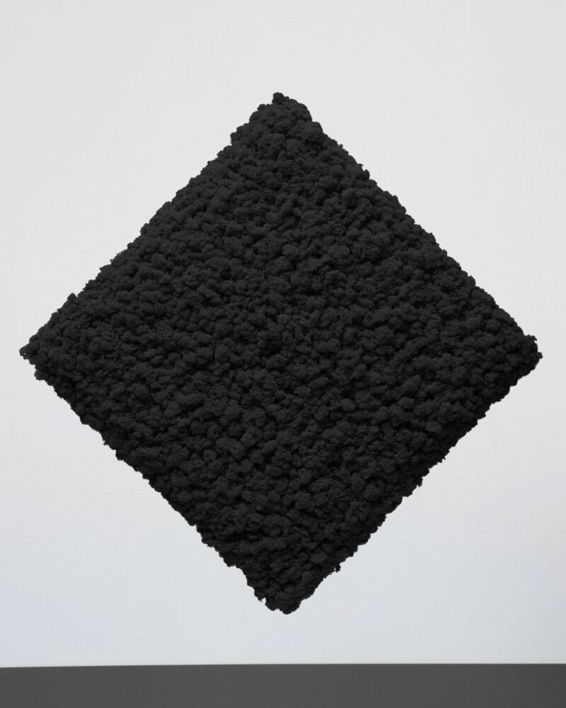 Mosspanel Kvadrat - Ljuddämpande Väggpanel med Äkta Renlav - Bild 17