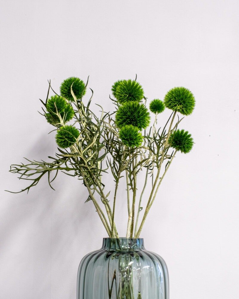 Bolltistel gigant grön