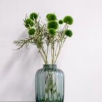 Bolltistel gigant grön