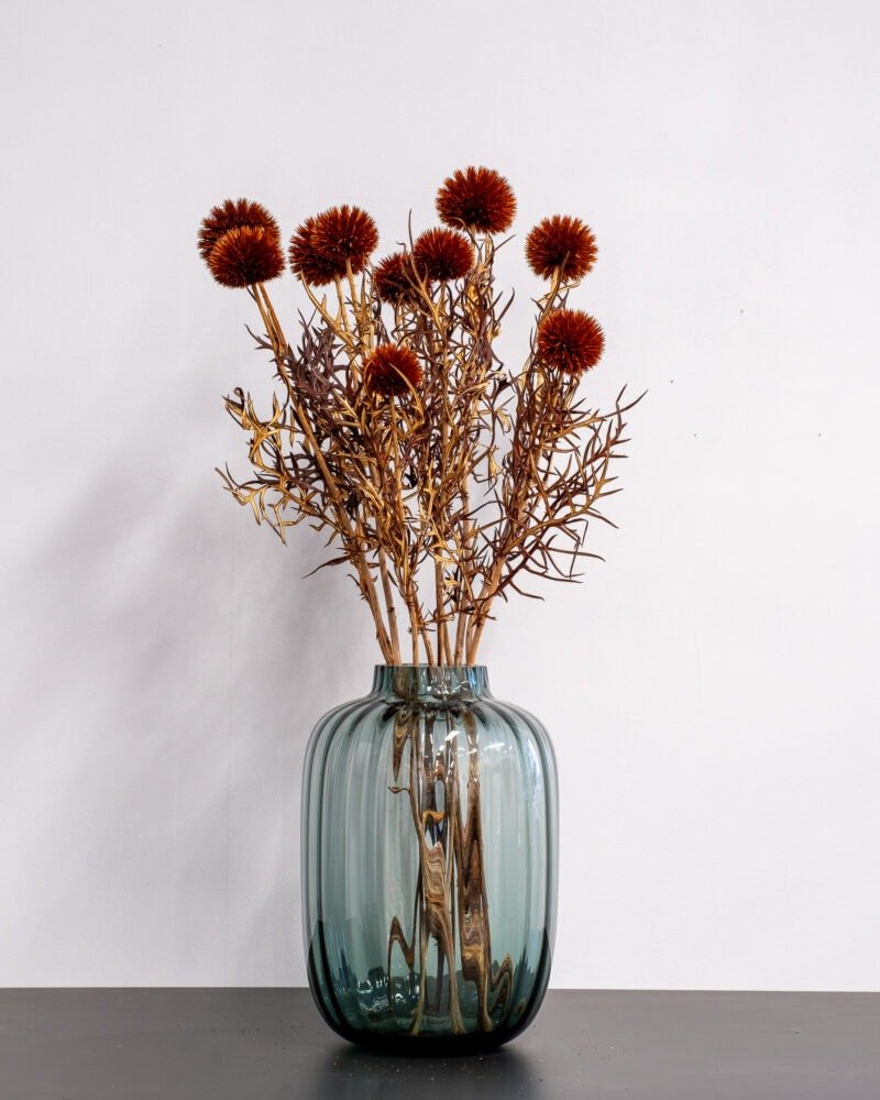 Bolltistel gigant brun