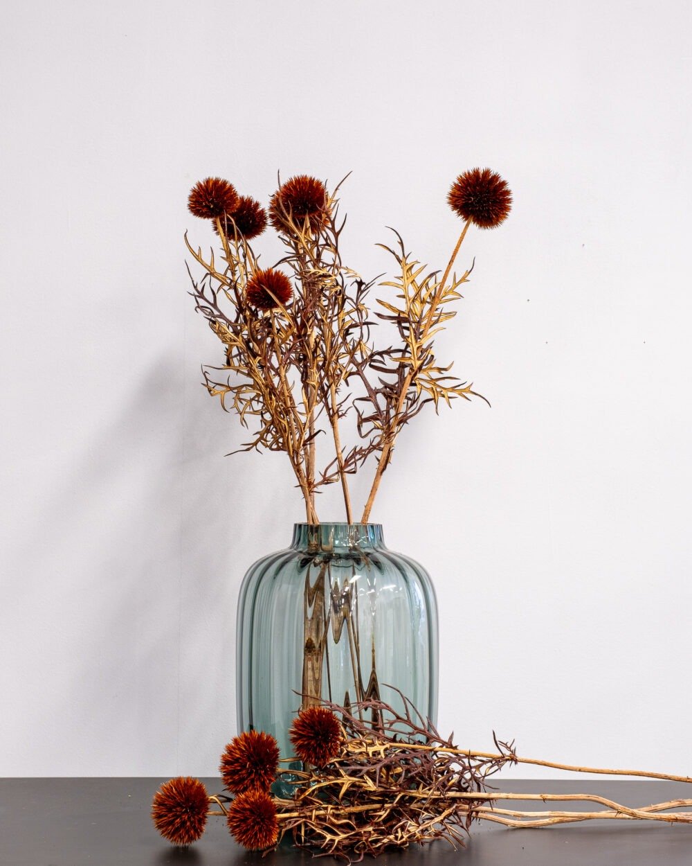 Bolltistel gigant brun