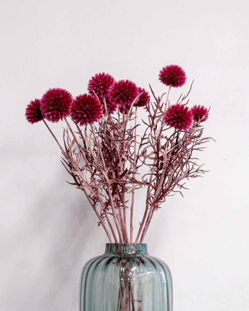 Bolltistel Gigant - Mörkrosa – Torkade Blommor - Bild 2