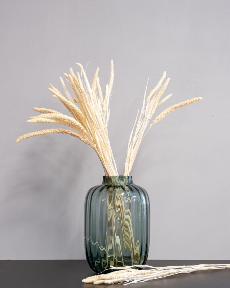 Durrasläktet Sorghum Vit - Torkade Blommor - Bild 2