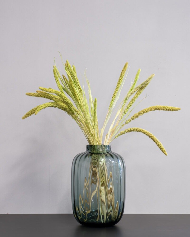 Durrasläktet Sorghum Grön - Torkade Blommor - Bild 3