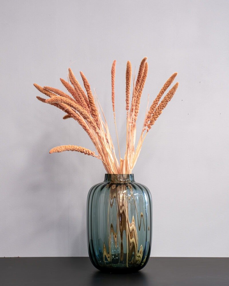 Durrasläktet Sorghum Salmon - Torkade Blommor - Bild 3