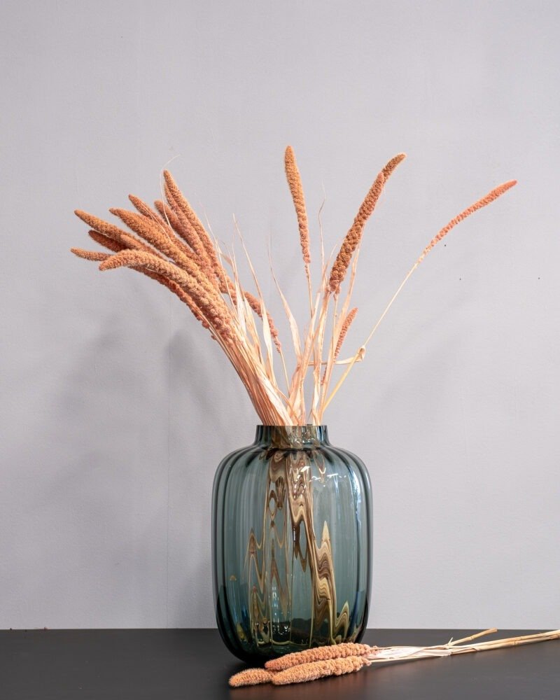 Durrasläktet Sorghum Salmon - Torkade Blommor - Bild 4