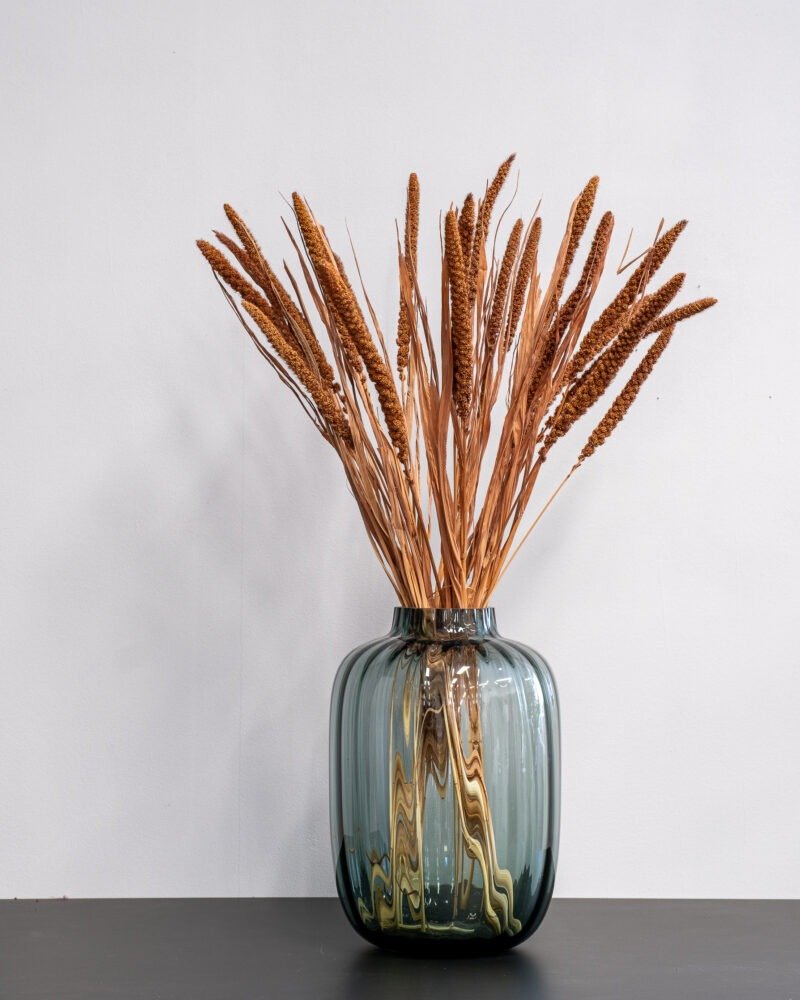 Durrasläktet Sorghum Brun- Torkade Blommor - Bild 4