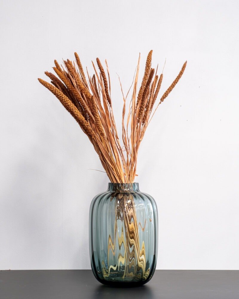 Durrasläktet Sorghum Brun- Torkade Blommor - Bild 2