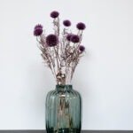 Bolltistel Gigant lila