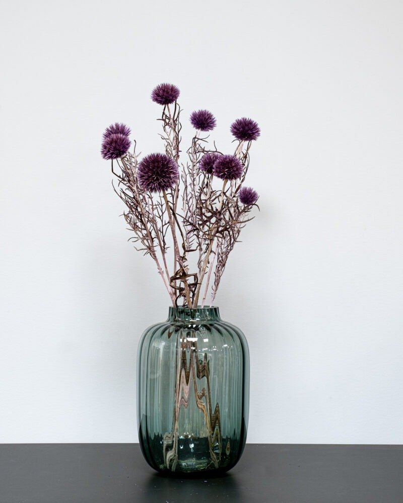 Bolltistel Gigant lila