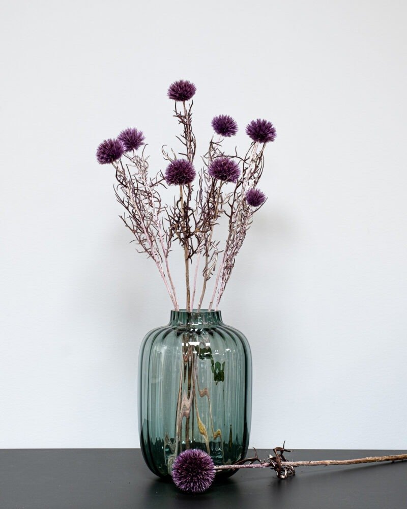 Bolltistel Gigant lila