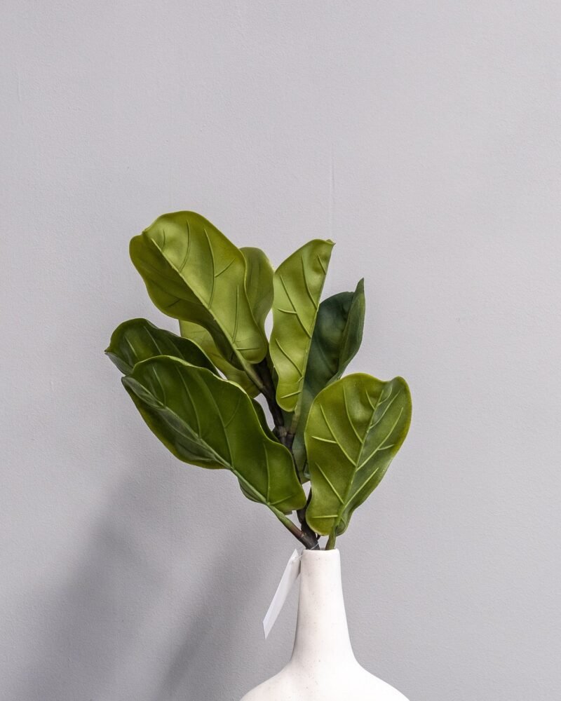 Konstväxt Fiolfikus bukett - 40x26 cm - Bild 2