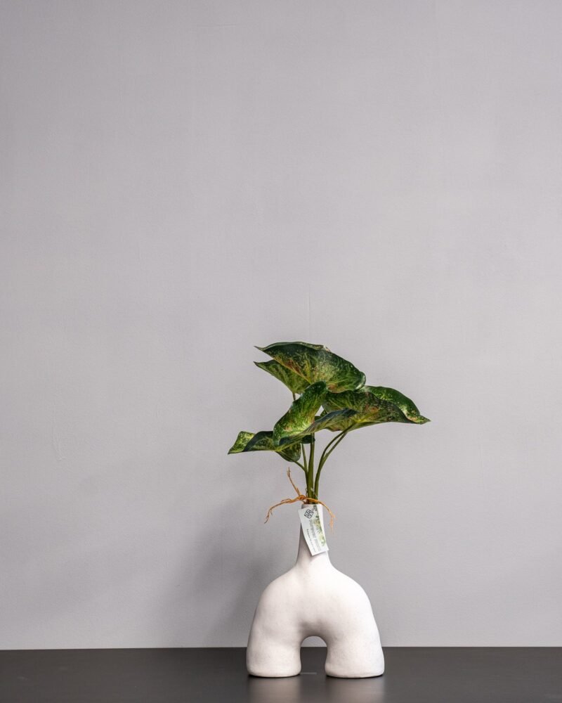 Konstväxt Caladium - 30 cm Flexibel Bladslinga