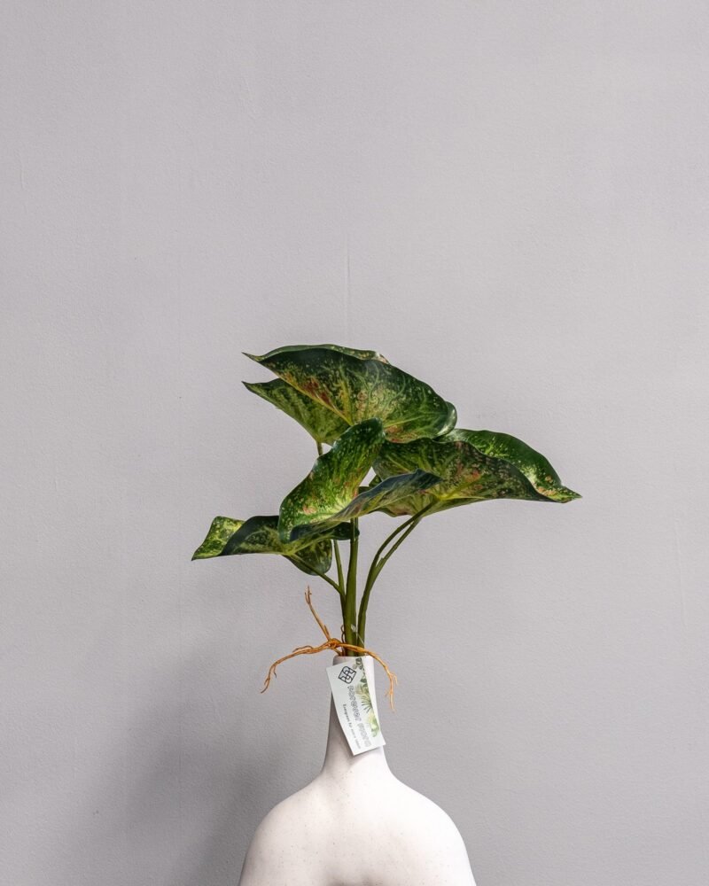 Konstväxt Caladium - 30 cm Flexibel Bladslinga - Bild 2