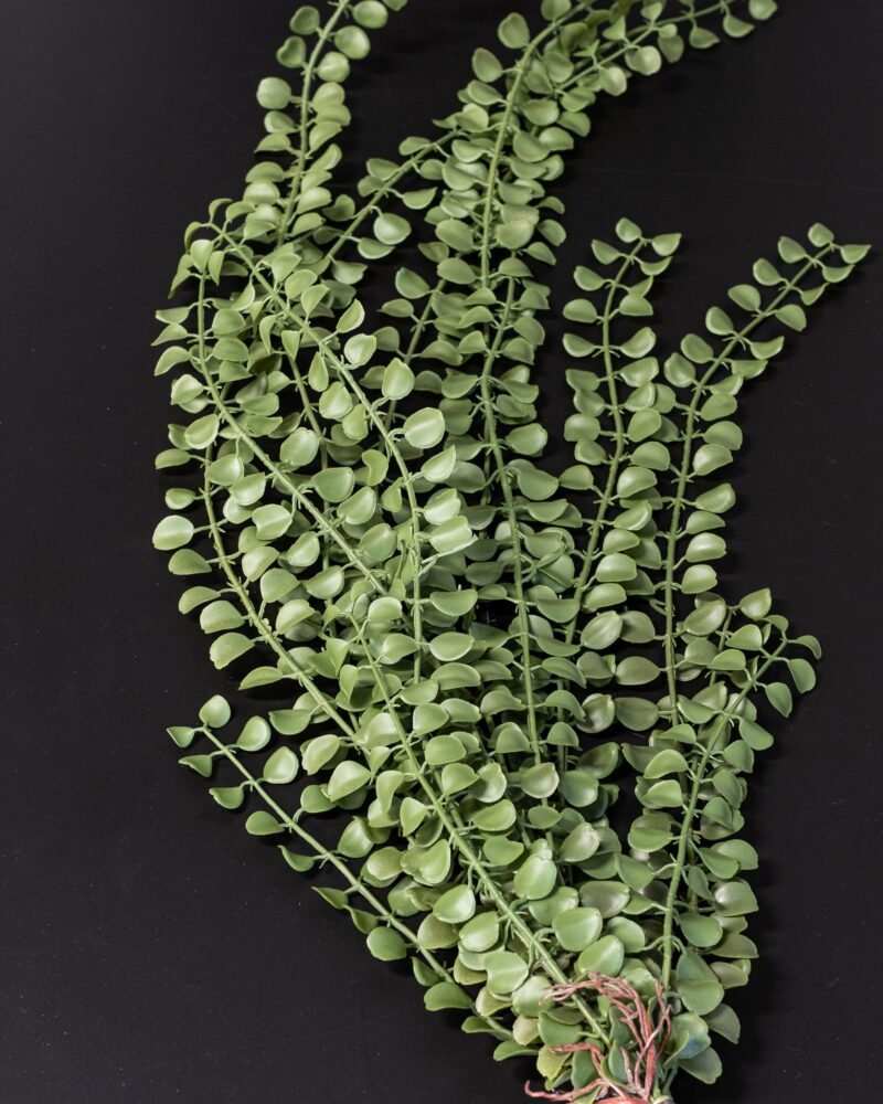 Konstväxt Pilea bukett - 90 cm Naturtroget Bladverk - Bild 3